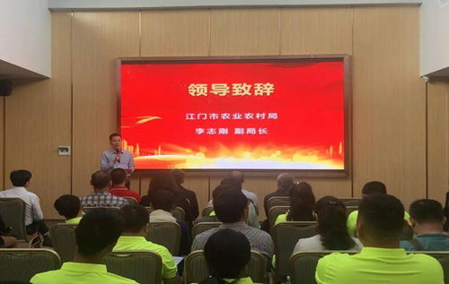 江門農技驛站玩出新花樣 兩大“農業網紅”打卡地，技術推廣服務再升級